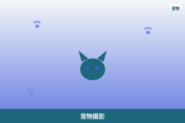 宠物摄影